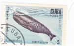 Sellos de America - Cuba -  cetaceos