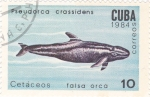 Sellos de America - Cuba -  cetaceos