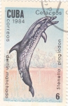 Stamps Cuba -  cetaceos