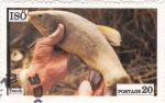 Stamps Sweden -  pesca