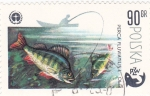 Stamps Poland -  pesca