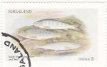 Sellos de Asia - Nagaland -  peces