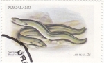 Stamps Nagaland -  anguilas