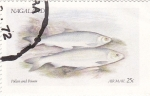 Stamps Asia - Nagaland -  peces