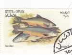 Stamps : Asia : Oman :  peces