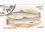 Stamps : Asia : Oman :  peces