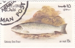 Stamps Oman -  peces