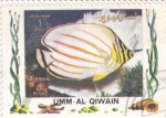 Stamps United Arab Emirates -  peces tropicales