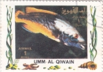 Sellos de Asia - Emiratos �rabes Unidos -  peces tropicales