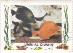 Stamps United Arab Emirates -  peces tropicales