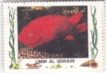 Sellos de Asia - Emiratos �rabes Unidos -  peces tropicales