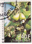 Stamps : Africa : Comoros :  frutas tropicales