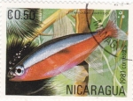 Stamps : America : Nicaragua :  peces