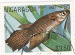 Sellos del Mundo : America : Nicaragua : peces