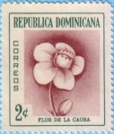 Stamps America - Dominican Republic -  Flor de la Caoba