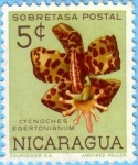 Stamps Nicaragua -  Cycnoches Egertonianum