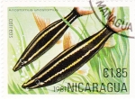 Stamps : America : Nicaragua :  peces