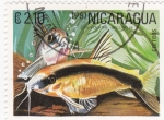 Stamps : America : Nicaragua :  peces