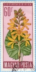 Stamps Hungary -  Ligularia Sibirica