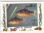 Stamps United Arab Emirates -  peces tropicales