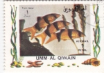 Stamps United Arab Emirates -  peces tropicales