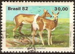 Stamps : America : Brazil :  Fauna brasileña-Venado Pampa.