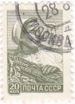 Stamps Russia -  