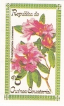 Stamps Equatorial Guinea -  flores