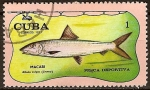 Sellos de America - Cuba -  Pesca deportiva (Macabi).