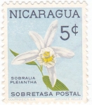 Stamps Nicaragua -  flores