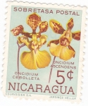 Sellos de America - Nicaragua -  flores