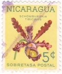 Sellos de America - Nicaragua -  flores