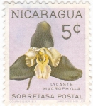 Stamps Nicaragua -  flores