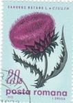 Stamps Romania -  flores