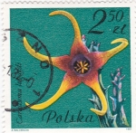 Sellos de Europa - Polonia -  flores