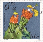 Stamps Poland -  flores