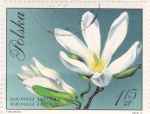 Stamps Poland -  flores