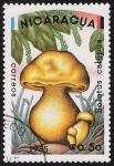 Stamps Nicaragua -  SETAS-HONGOS: 1.201.001,00-Boletus calopus