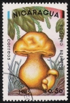 Stamps : America : Nicaragua :  SETAS-HONGOS: 1.201.001,01-Boletus calopus -Dm.985.10-Y&T.1361-Mch.2561-Sc.1403