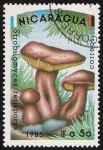 Stamps Nicaragua -  SETAS-HONGOS: 1.201.002,00-Strobilomyces retisporus