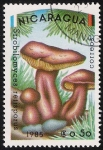 Stamps America - Nicaragua -  SETAS-HONGOS: 1.201.002,01-Strobilomyces retisporus -Dm.985.11-Y&T.1362-Mch.2562-Sc.1404