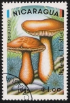 Stamps Nicaragua -  SETAS-HONGOS: 1.201.003,00-Boletus luridus
