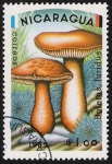 Sellos de America - Nicaragua -  SETAS-HONGOS: 1.201.003,00-Boletus luridus