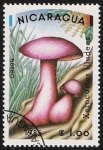 Stamps Nicaragua -  SETAS-HONGOS: 1.201.004,00-Xerocomus illudens