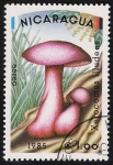 Stamps : America : Nicaragua :  SETAS-HONGOS: 1.201.004,01-Xerocomus illudens -Dm.985.13-Y&T.A1085-Mch.2564-Sc.1406
