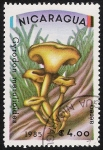Stamps Nicaragua -  SETAS-HONGOS: 1.201.005,00-Gyrodon meruliodes