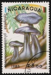 Stamps Nicaragua -  SETAS-HONGOS: 1.201.006,00-Tylopilus plumbeoviolaceus