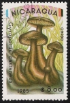 Stamps Nicaragua -  SETAS-HONGOS: 1.201.007,00-Gyroporus castaneus