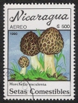 Sellos de America - Nicaragua -  SETAS-HONGOS: 1.201.011,00-Morchella esculenta