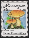 Stamps Nicaragua -  SETAS-HONGOS: 1.201.012,00-Boletus edulis